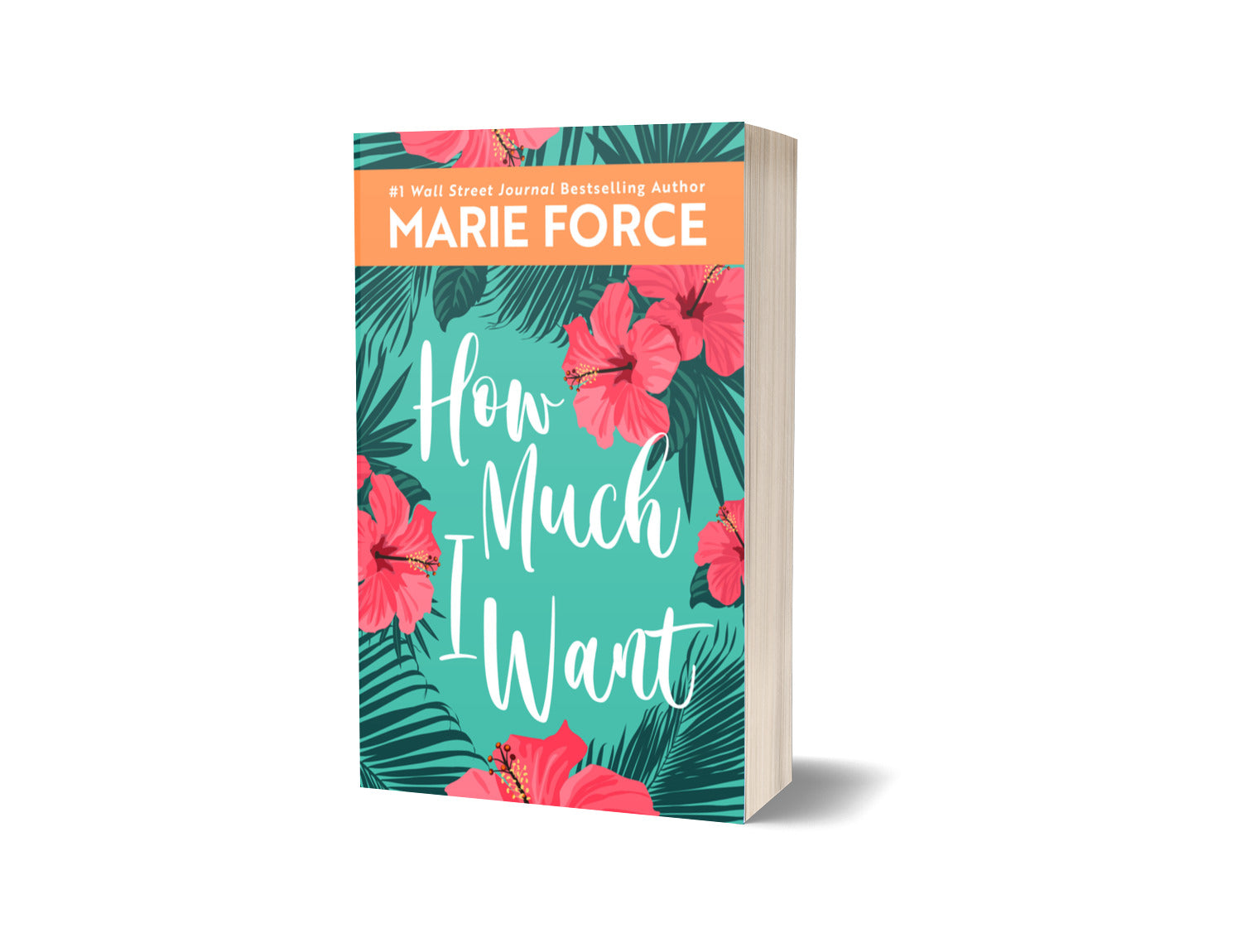 How Much I Want, Miami Nights Series, Book 4 (NEW COVER)